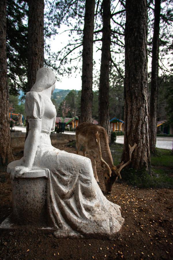 Te'Dreri - Llogora Tourist Village Dhërmi Eksteriør billede