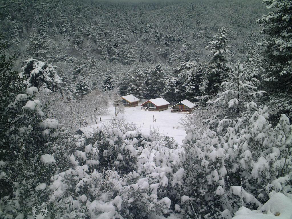 Te'Dreri - Llogora Tourist Village Dhërmi Eksteriør billede